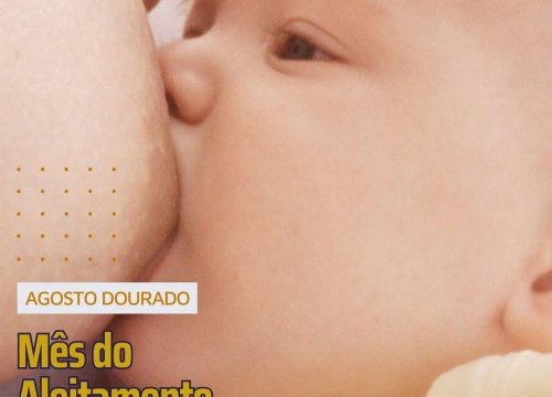 ALEITAMENTO MATERNO